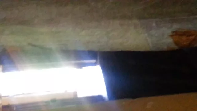 बट प्लग के साथ सोलो लड़की