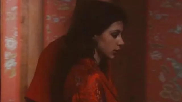 रूसी घर का बना