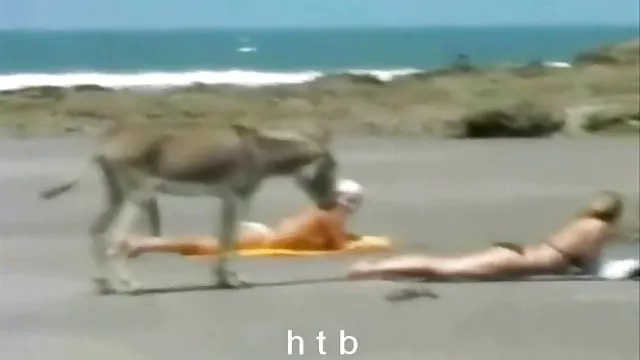 अवर्णनीय स्तन