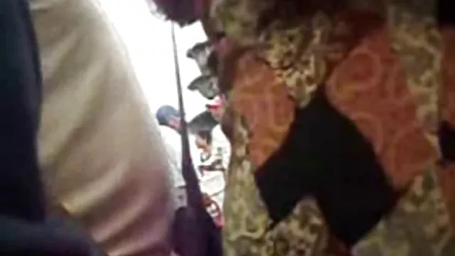सुनहरे बालों वाली बेंच पर बिल्ली हस्तमैथुन