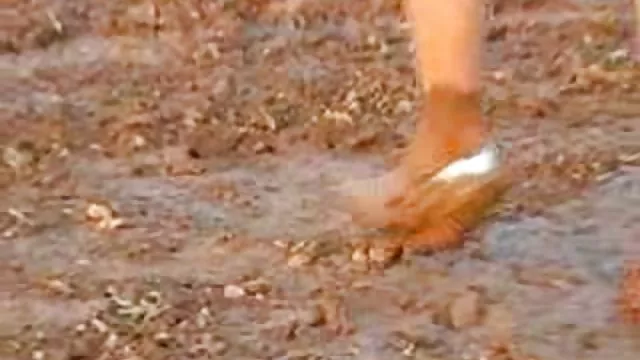 उभयलिंगी एक त्रिगुट कमबख्त