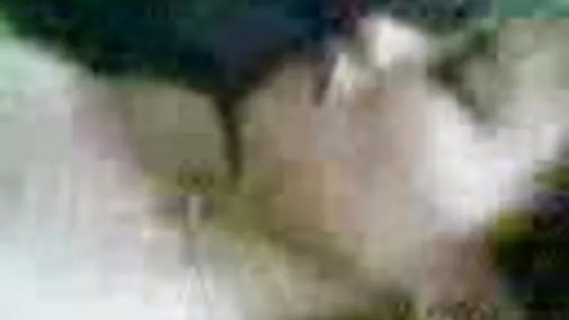तंग गधे के साथ गुदा