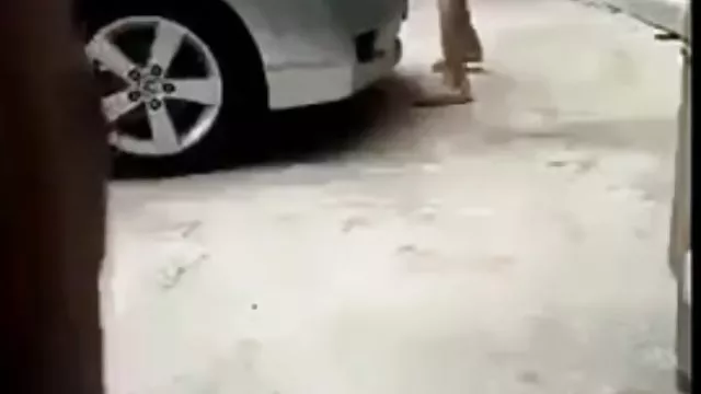 स्ट्रैप लगा कर उसकी चूत को चाटा