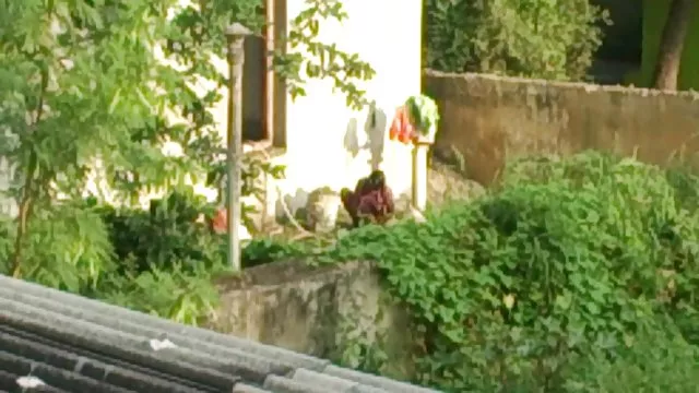 गुणात्मक रूप से एक सदस्य चूसना बनाता है