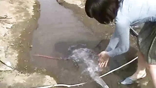 एक परिपक्व लड़की के साथ अपने लड़की को पकड़ा और गुदा सेक्स के साथ दंडित किया