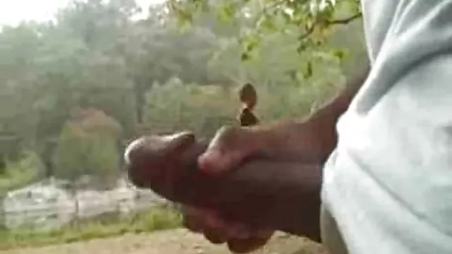 कुतिया पोटारचिक में लगी हुई है और चूसती है