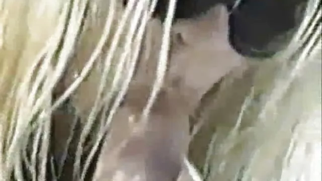 मेरा आकलन