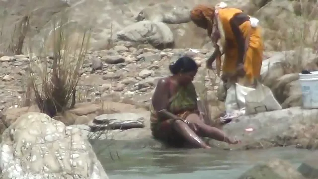गड़बड़ बिल्ली और गधा