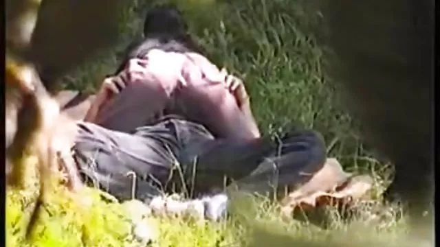 कोच एक प्यारा गोरा में आज्ञाकारिता को बढ़ावा देता है