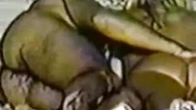 कमबख्त गुदा मोज़ा में लड़की विलाप